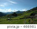 466981