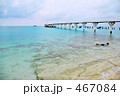 海と桟橋と僕