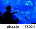 沖縄美ら水族館04