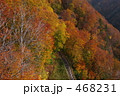 紅葉ドライブ