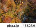 城ヶ倉渓谷の紅葉
