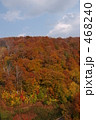 八甲田山の紅葉