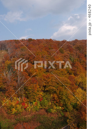 「八甲田山の紅葉」の写真素材