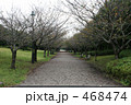 朝の公園