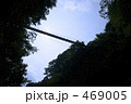 山梨県・道志川に架かる吊り橋