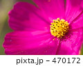 470172