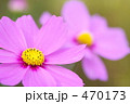 470173
