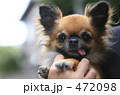 ベロでこんにちわ