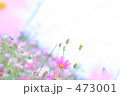 フラッシュバック