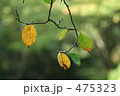 秋の入り口