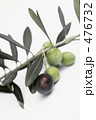 Greek Olive