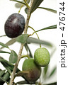 Grrek Olive