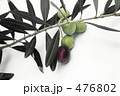 Greek Olive