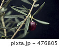 Greek Olive/Mauro