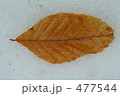 477544