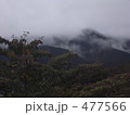 477566