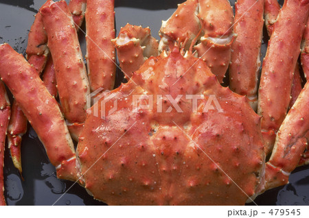 「タラバガニ」の写真素材