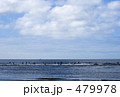 湘南サーファーズ