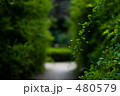 Deep green