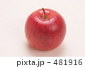素材ナンバー 481916 : 「アップル」