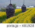 菜の花と積み藁