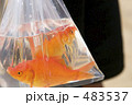 金魚すくい