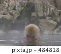眼を伏せてうつむく猿
