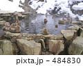 猿が憩う露天風呂
