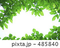 新緑