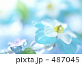 パステルカラーのアクセサリー