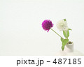 野草の一輪挿し