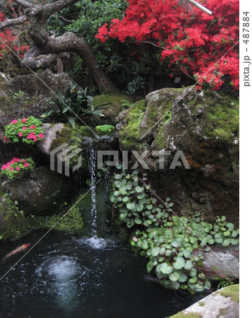 庭園 池 水