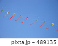 大空に舞う連凧