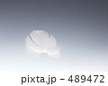羽毛