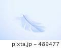 羽毛