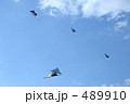 カイト