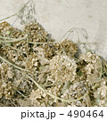 490464