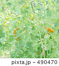 490470