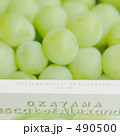 490500