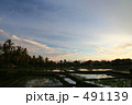 バリの水田