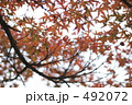 492072