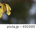 492080