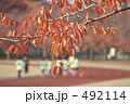 492114