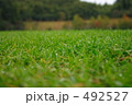 サッカー場の天然芝