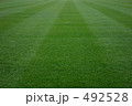 サッカー場の芝生