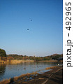 冬の鶴見緑地公園