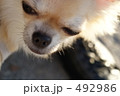 目をほそめて