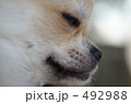 はなさき