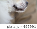 くちもと