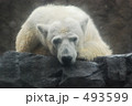 493599